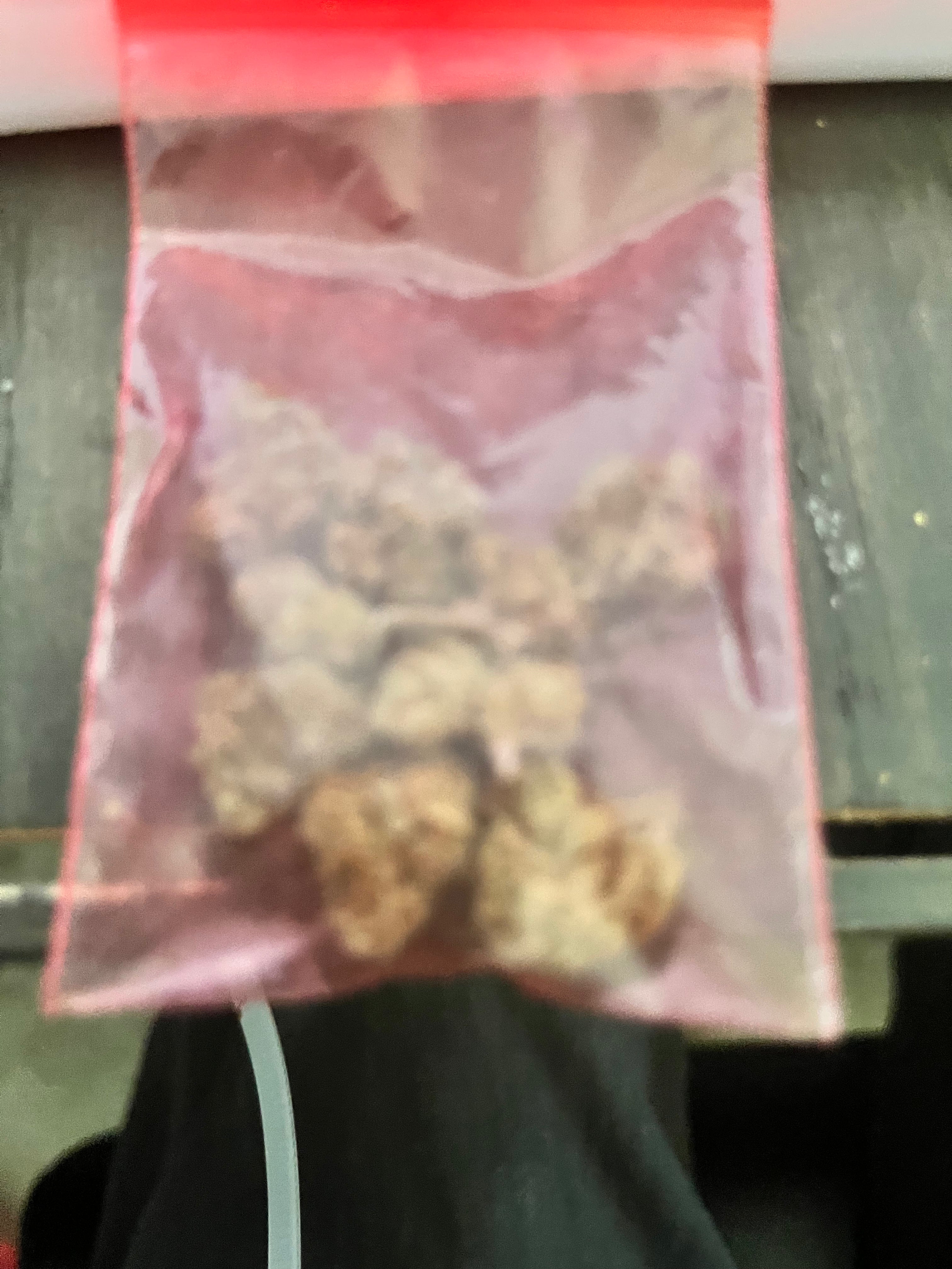1 Gram BLUEBERRY CHEESECAKE